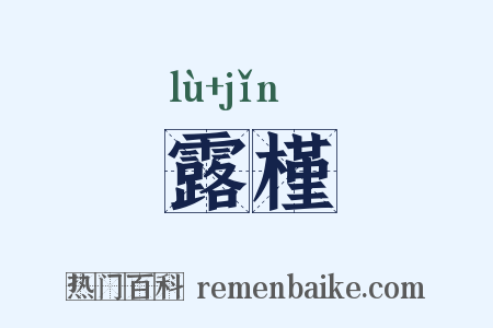 露槿是什么意思的图片
